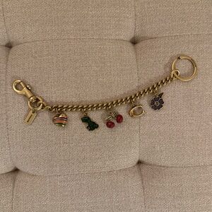 Coach Bag Chain